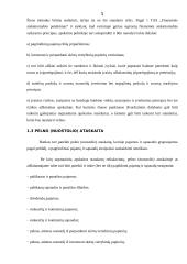 Specifiniai įmonių veiklos apskaitos standartai 5 puslapis