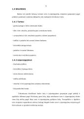 Specifiniai įmonių veiklos apskaitos standartai 7 puslapis