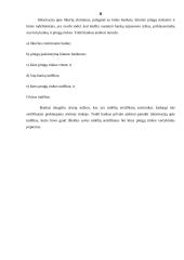 Specifiniai įmonių veiklos apskaitos standartai 8 puslapis