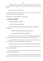 Specifiniai įmonių veiklos apskaitos standartai 10 puslapis