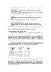 Srautų maršrutizavimo metodų analizė 11 puslapis