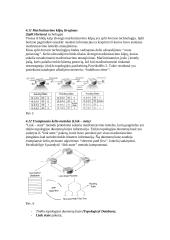 Srautų maršrutizavimo metodų analizė 12 puslapis