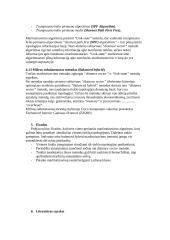 Srautų maršrutizavimo metodų analizė 13 puslapis