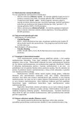 Srautų maršrutizavimo metodų analizė 9 puslapis