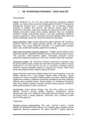 SSGG analizė AB "Dvarčionių keramika" 12 puslapis