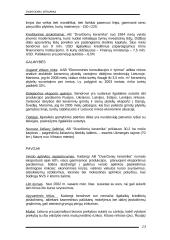 SSGG analizė AB "Dvarčionių keramika" 13 puslapis
