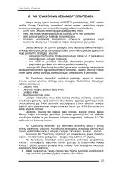 SSGG analizė AB "Dvarčionių keramika" 15 puslapis