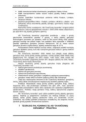 SSGG analizė AB "Dvarčionių keramika" 16 puslapis