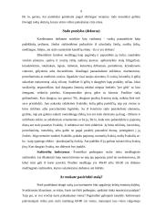 Stalo padengimas 9 puslapis