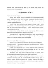 Statybos rangos sutartis 5 puslapis