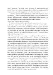 Statybos rangos sutartis 6 puslapis