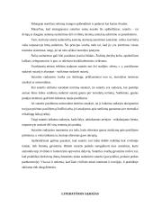 Statybos rangos sutartis 8 puslapis