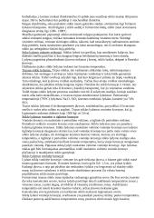 Stiklo gamybos technologijos 11 puslapis