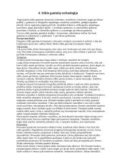 Stiklo gamybos technologijos 13 puslapis