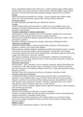 Stiklo gamybos technologijos 14 puslapis