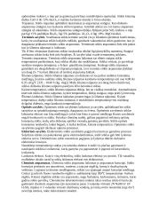 Stiklo gamybos technologijos 4 puslapis