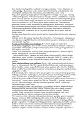 Stiklo gamybos technologijos 6 puslapis