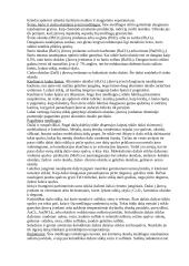 Stiklo gamybos technologijos 7 puslapis