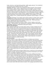 Stiklo gamybos technologijos 8 puslapis