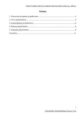 Straipsnių pripažinimas pagal tarptautinius apskaitos standartus 2 puslapis