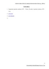 Straipsnių pripažinimas pagal tarptautinius apskaitos standartus 11 puslapis