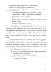 Suaugusiųjų paskatinimai ir bausmės ugdant vaikus šeimoje 17 puslapis