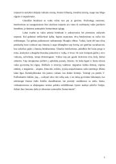 Suaugusiųjų paskatinimai ir bausmės ugdant vaikus šeimoje 5 puslapis