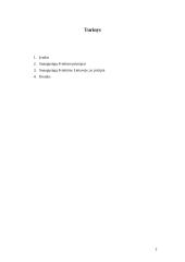 Suaugusiųjų švietimo principai 2 puslapis