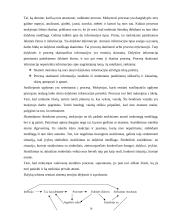 Susiliejantis ugdymas ir holistinė pedagogika 16 puslapis