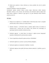 Susiliejantis ugdymas ir holistinė pedagogika 20 puslapis