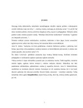 Susiliejantis ugdymas ir holistinė pedagogika 3 puslapis