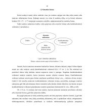 Sutarties sudarymo tvarka, sutarčių galia ir forma 10 puslapis