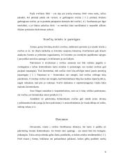 Svečių priėmimas. Svečiavimasis. Svečių teisės ir pareigos. Dovanos 6 puslapis