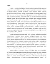 Sveikos gyvensenos ugdymas 2 puslapis