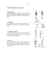 Sveikos gyvensenos ugdymas 15 puslapis