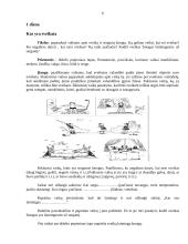 Sveikos gyvensenos ugdymas 5 puslapis