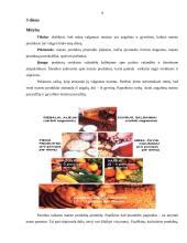 Sveikos gyvensenos ugdymas 8 puslapis