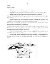 Sveikos gyvensenos ugdymas 10 puslapis