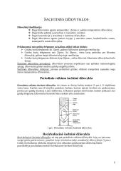 Šachtinės džiovyklos 2 puslapis