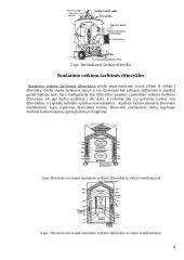Šachtinės džiovyklos 3 puslapis