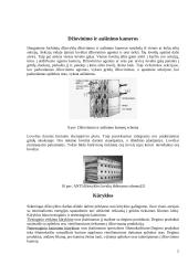 Šachtinės džiovyklos 7 puslapis