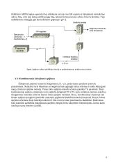 Šakojimosi prognozės įrenginio modeliai 9 puslapis