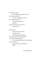 Šatrijos Ragana "Irkos tragedija". Tiriamasis darbas 4 puslapis