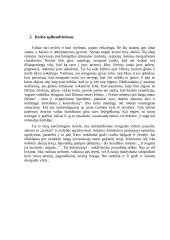 Šatrijos Ragana "Irkos tragedija". Tiriamasis darbas 8 puslapis