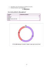 Šeima kaip vaiko socializacijos institucija 13 puslapis