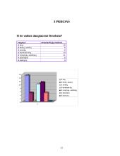 Šeima kaip vaiko socializacijos institucija 14 puslapis