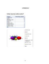 Šeima kaip vaiko socializacijos institucija 17 puslapis