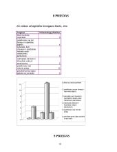 Šeima kaip vaiko socializacijos institucija 19 puslapis