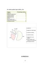 Šeima kaip vaiko socializacijos institucija 20 puslapis