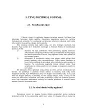 Šeima kaip vaiko socializacijos institucija 7 puslapis